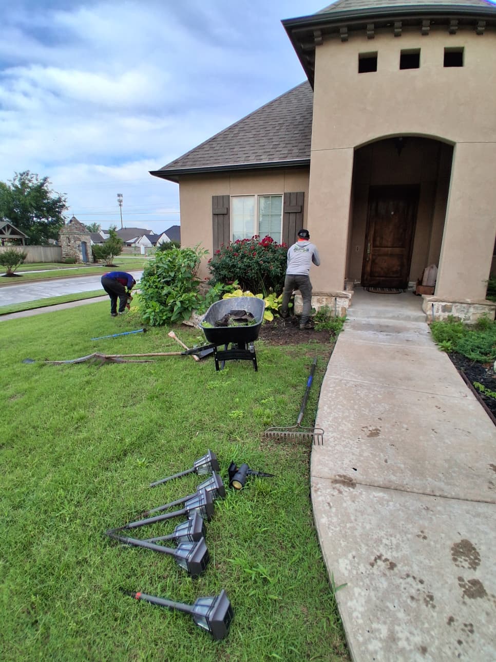 New Garden Installation